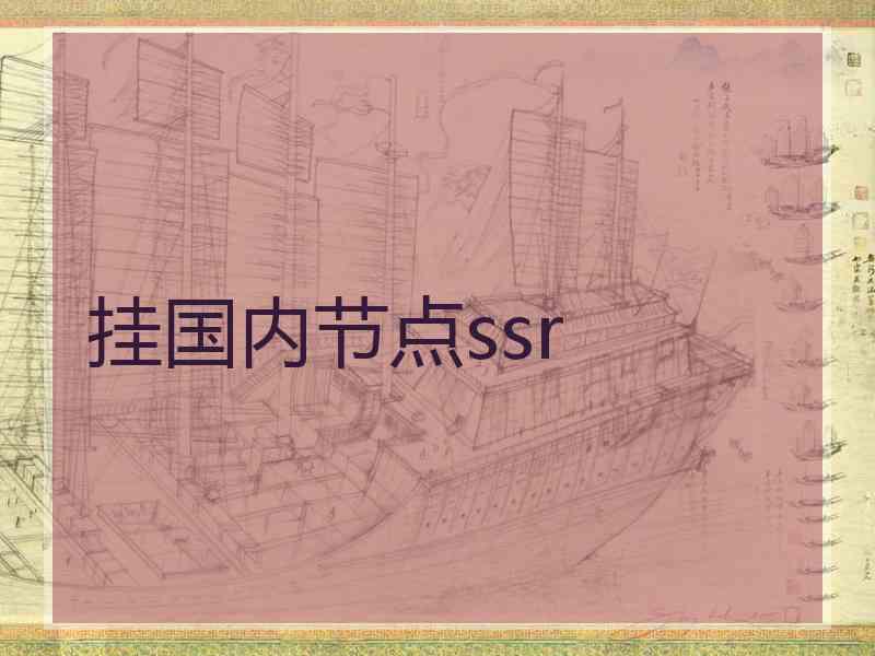 挂国内节点ssr