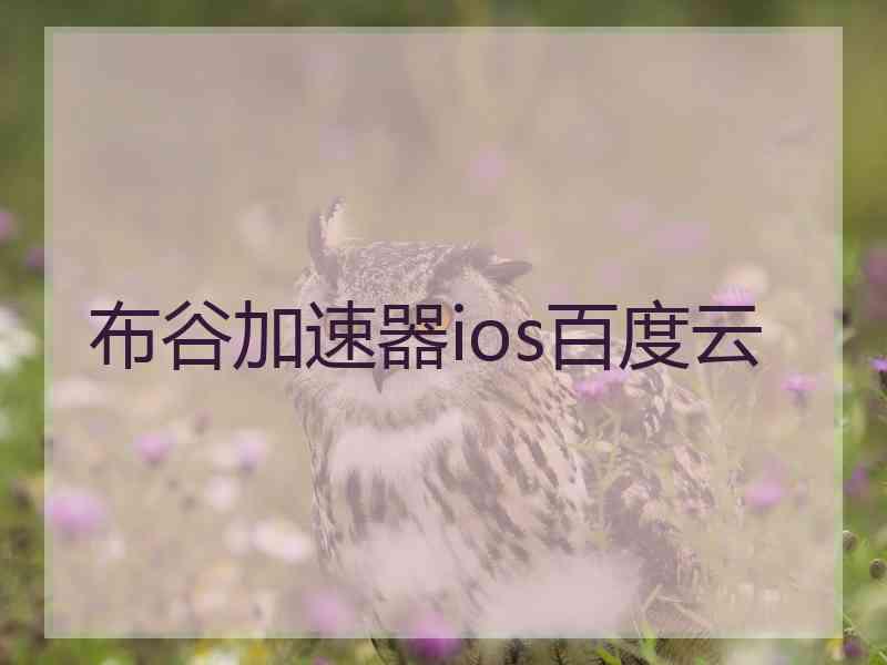 布谷加速器ios百度云