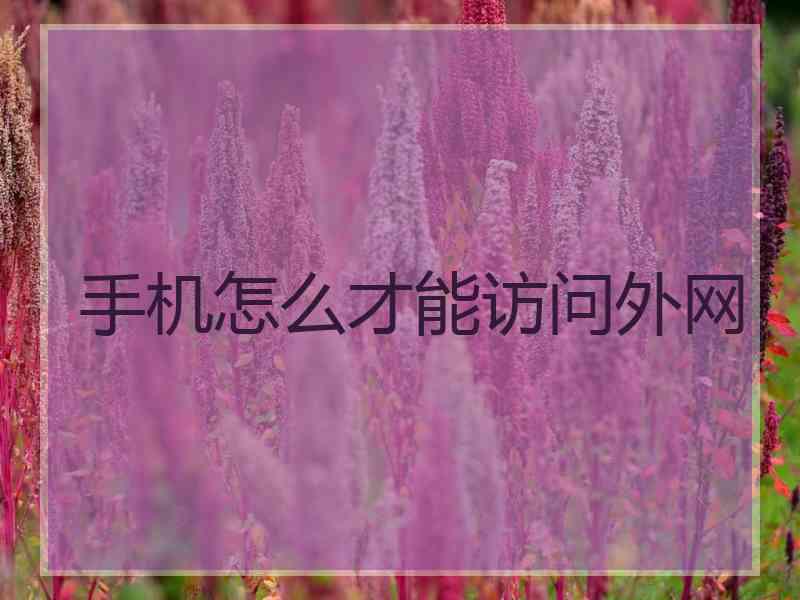 手机怎么才能访问外网