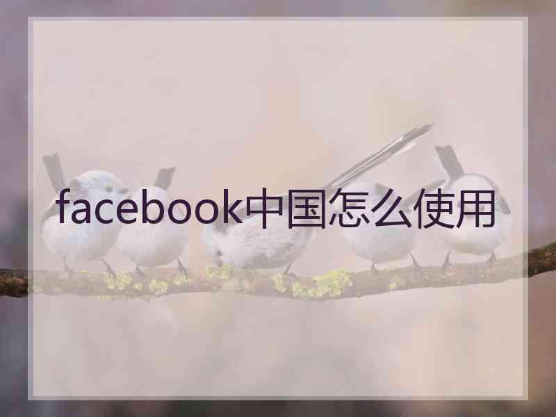 facebook中国怎么使用