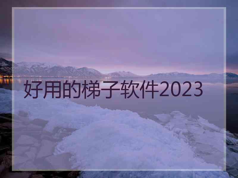 好用的梯子软件2023