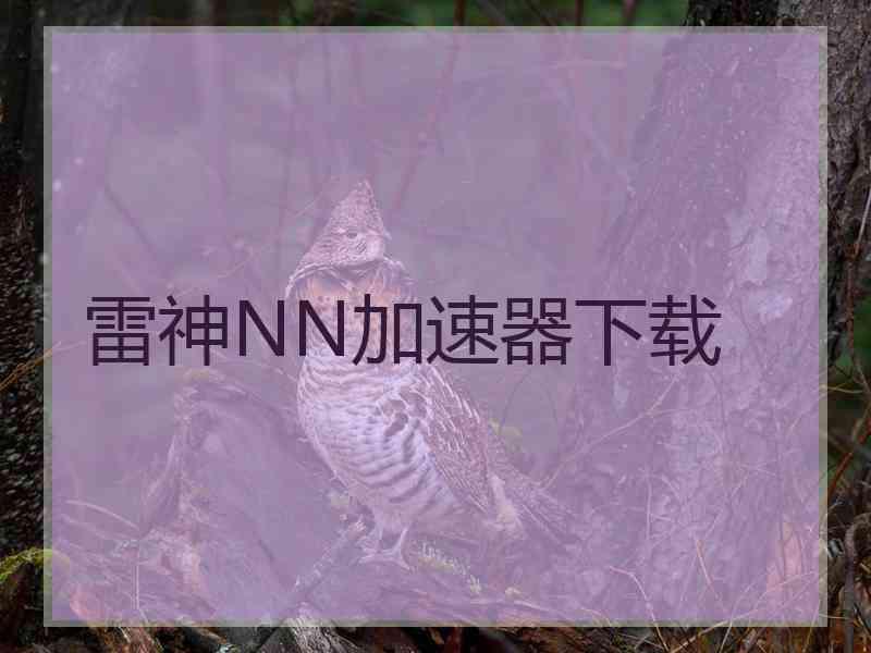 雷神NN加速器下载