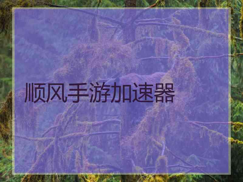 顺风手游加速器
