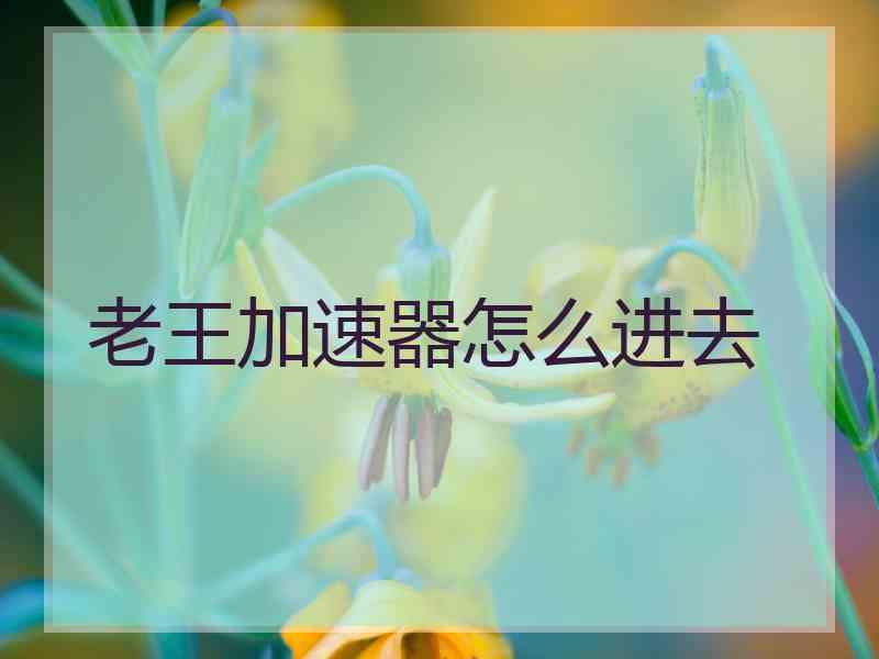 老王加速器怎么进去