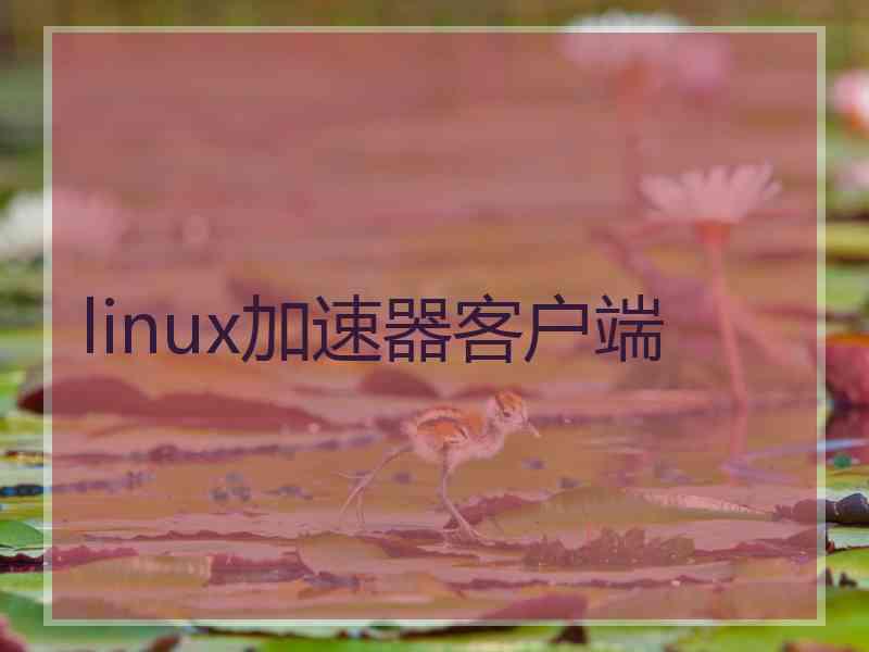 linux加速器客户端