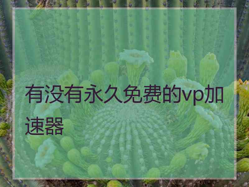 有没有永久免费的vp加速器