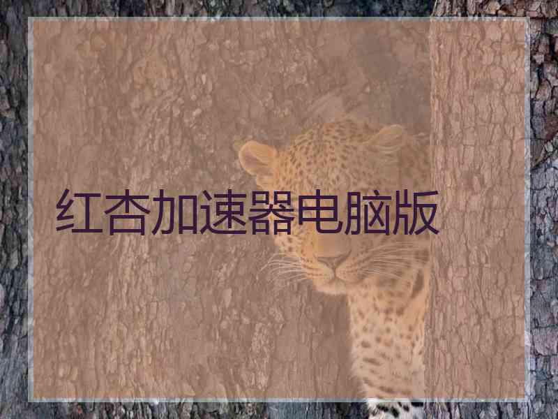 红杏加速器电脑版