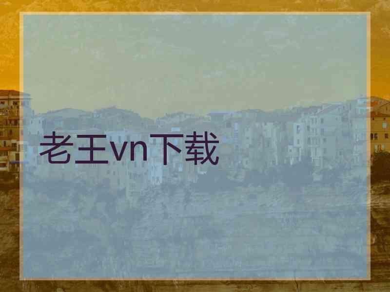 老王vn下载