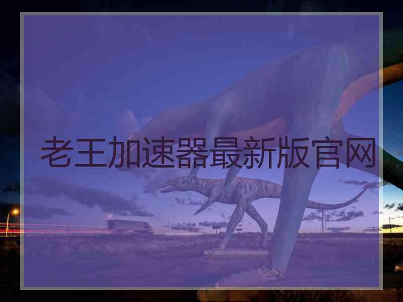 老王加速器最新版官网