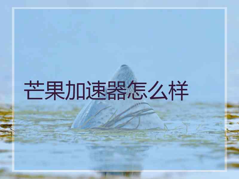 芒果加速器怎么样