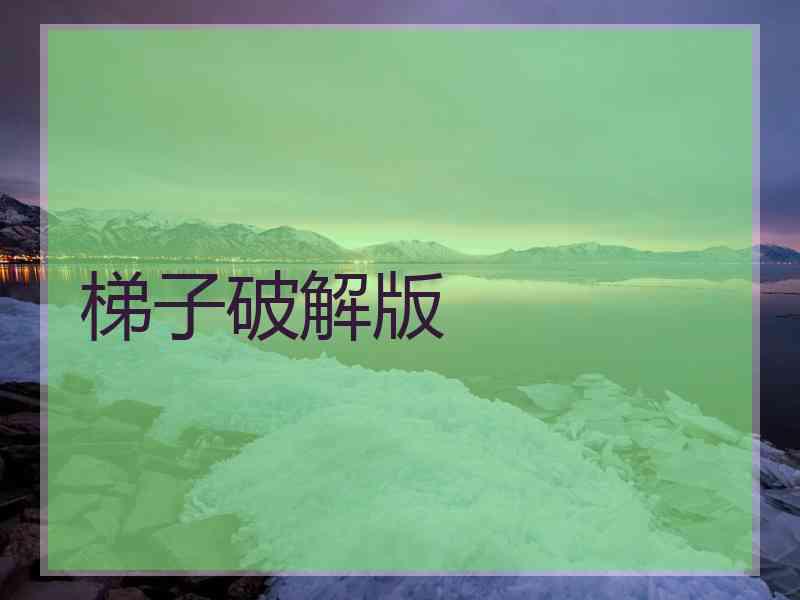 梯子破解版