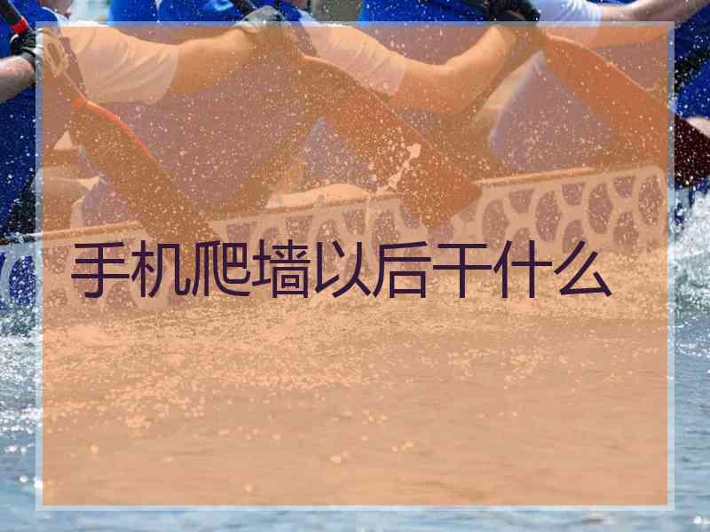 手机爬墙以后干什么