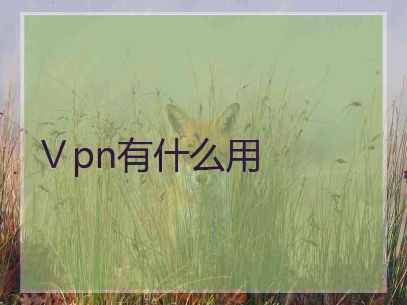 Ⅴpn有什么用