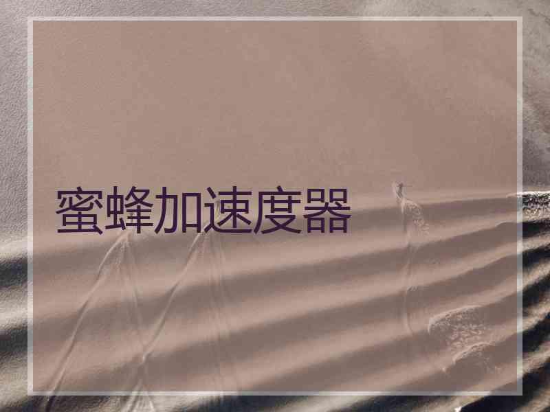 蜜蜂加速度器