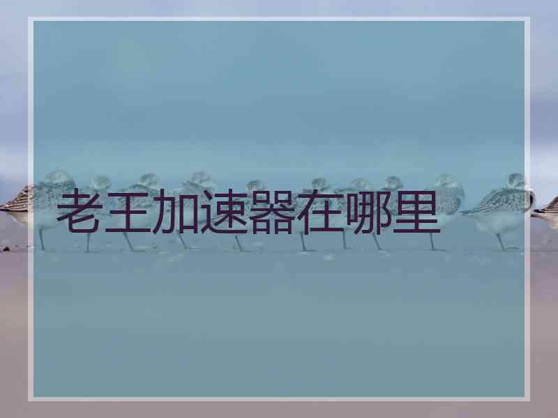 老王加速器在哪里