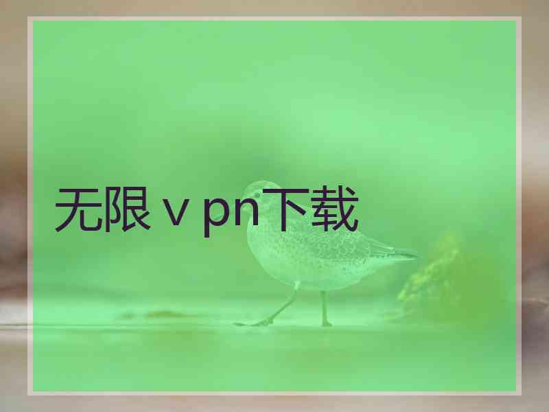 无限ⅴpn下载