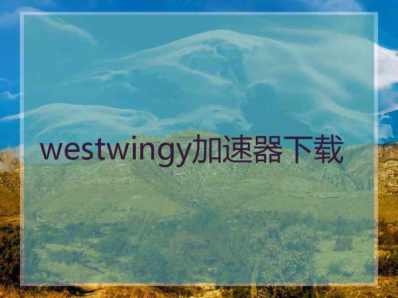 westwingy加速器下载