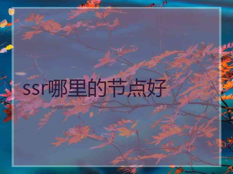 ssr哪里的节点好