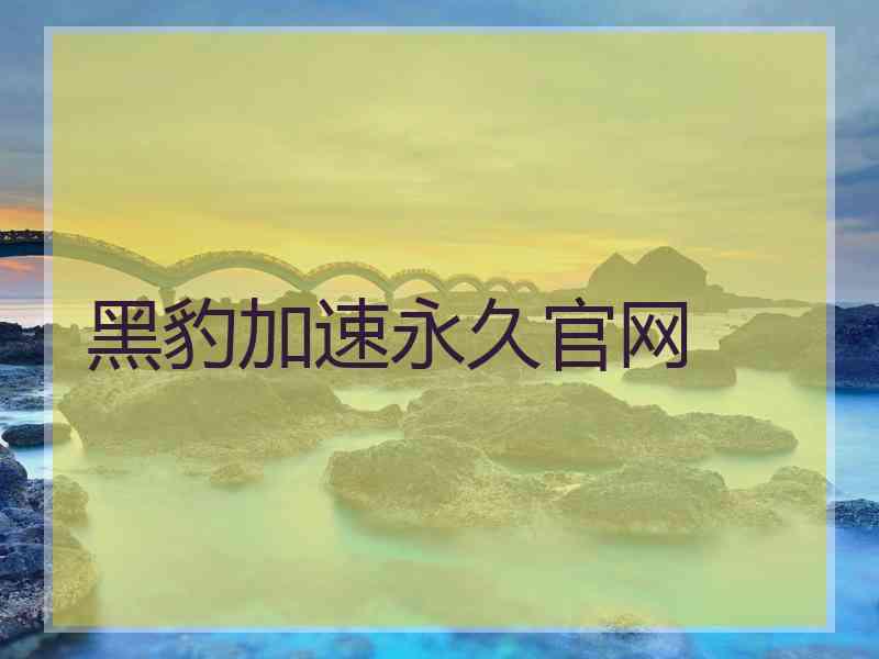 黑豹加速永久官网
