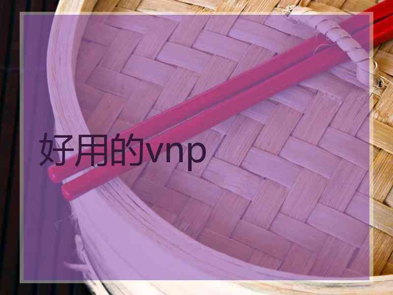 好用的vnp