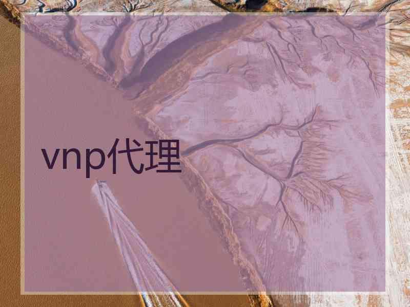 vnp代理