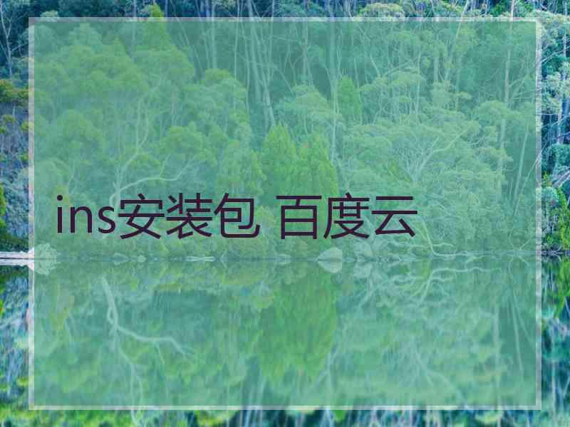 ins安装包 百度云