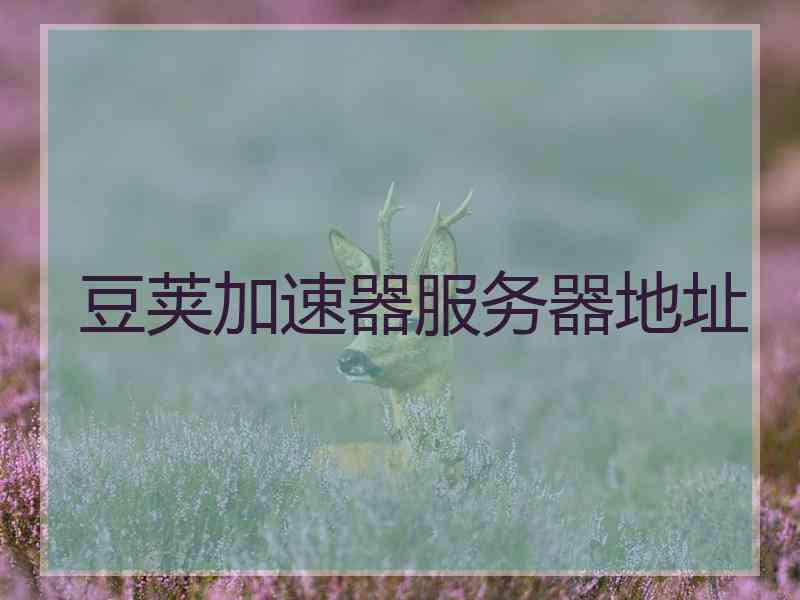 豆荚加速器服务器地址