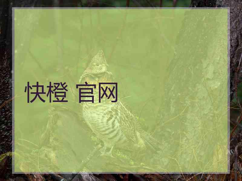 快橙 官网
