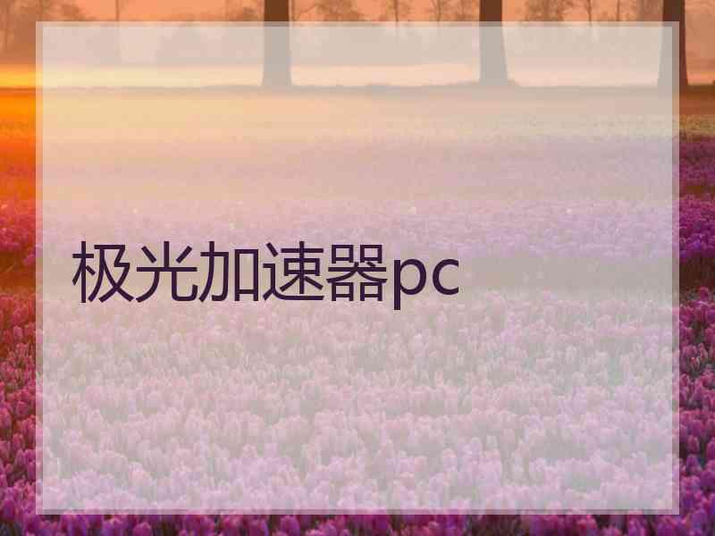 极光加速器pc