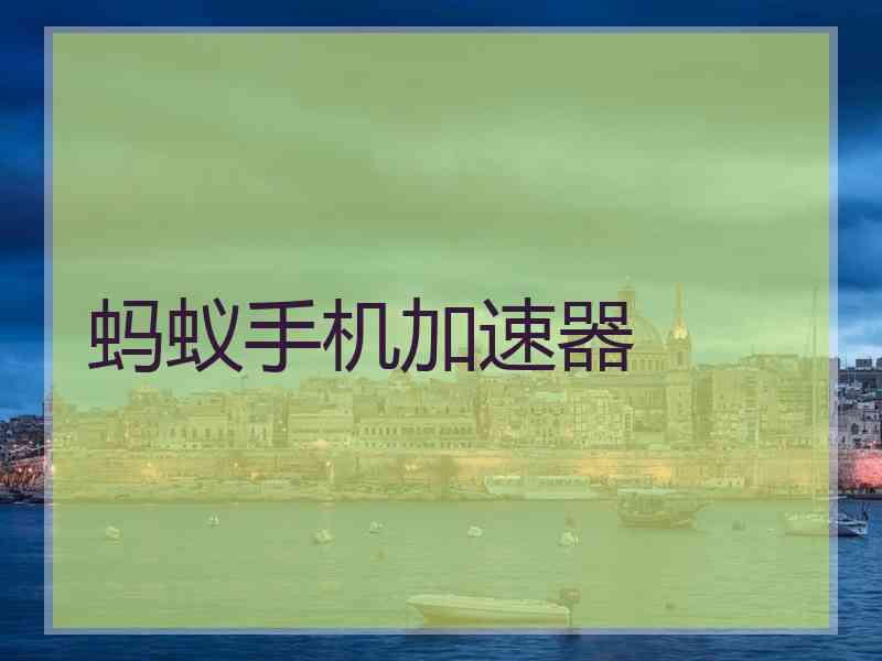 蚂蚁手机加速器
