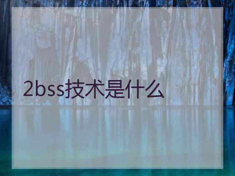 2bss技术是什么