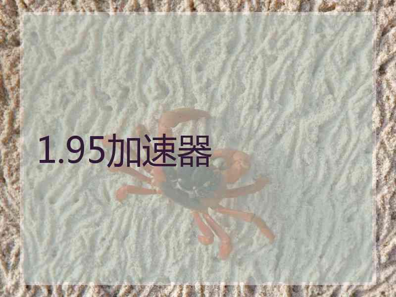 1.95加速器