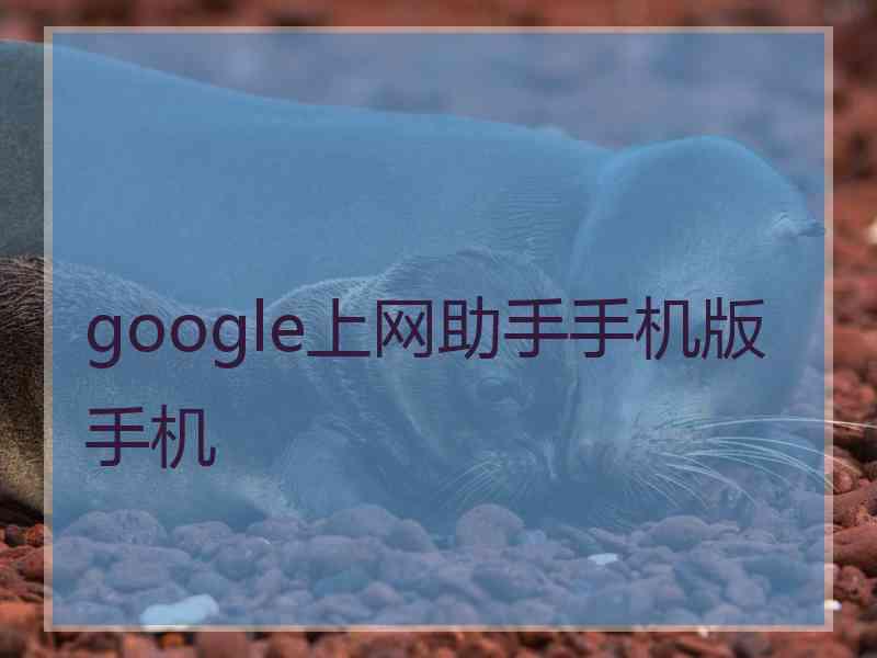 google上网助手手机版手机