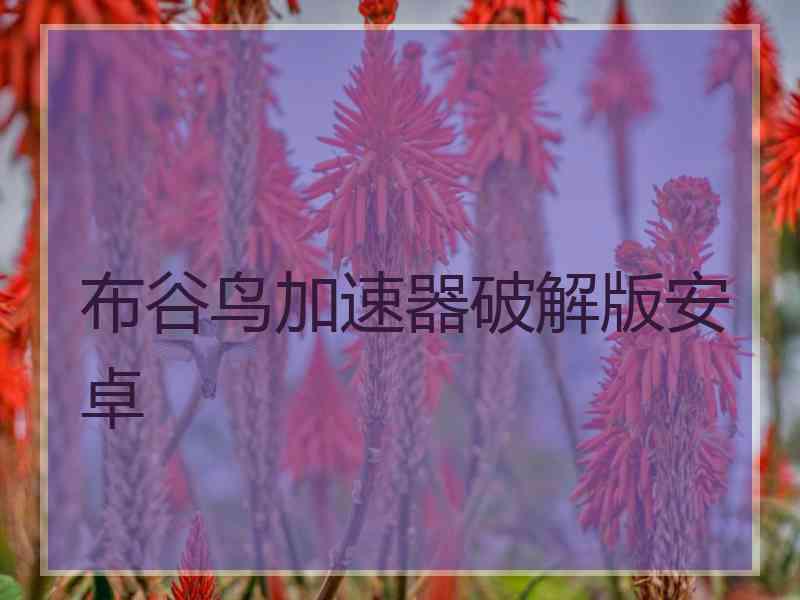 布谷鸟加速器破解版安卓