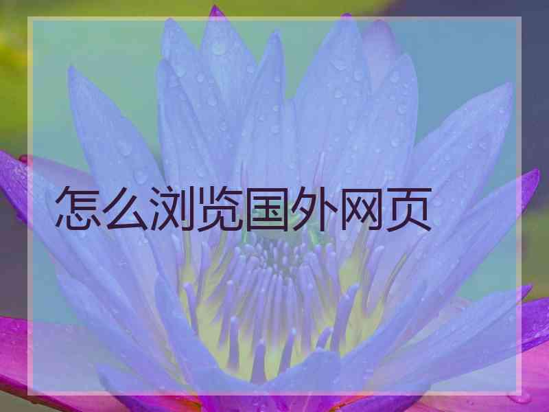 怎么浏览国外网页
