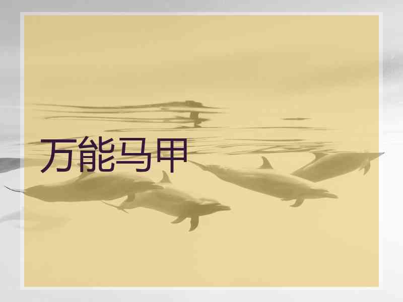 万能马甲
