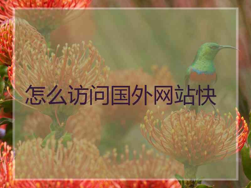 怎么访问国外网站快