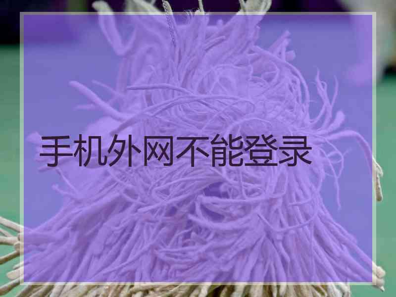 手机外网不能登录