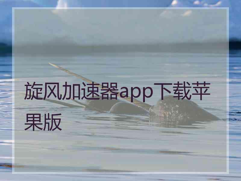 旋风加速器app下载苹果版