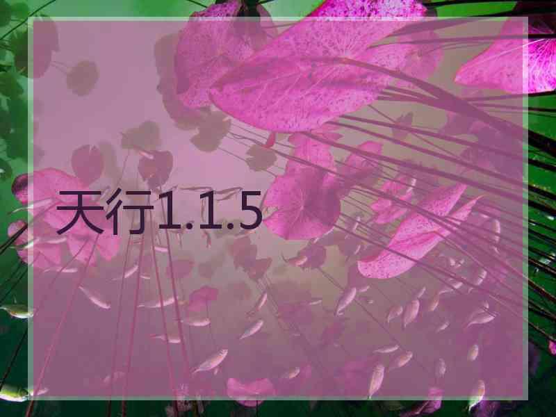 天行1.1.5
