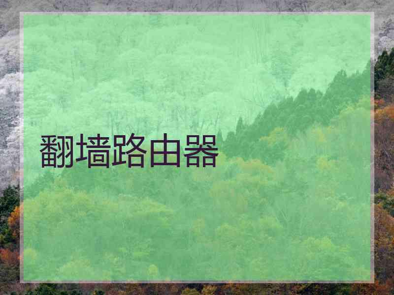 翻墙路由器