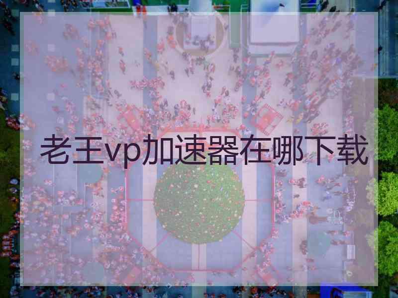 老王vp加速器在哪下载