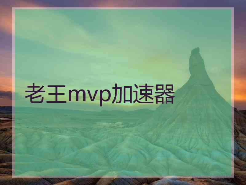 老王mvp加速器