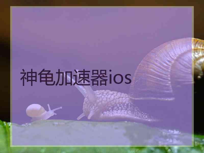 神龟加速器ios