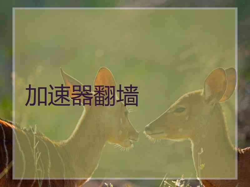 加速器翻墙