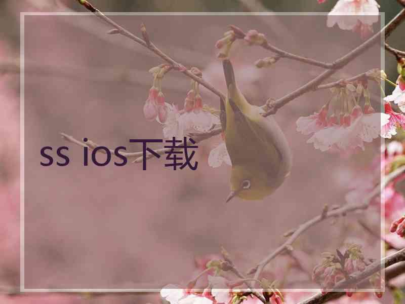 ss ios下载