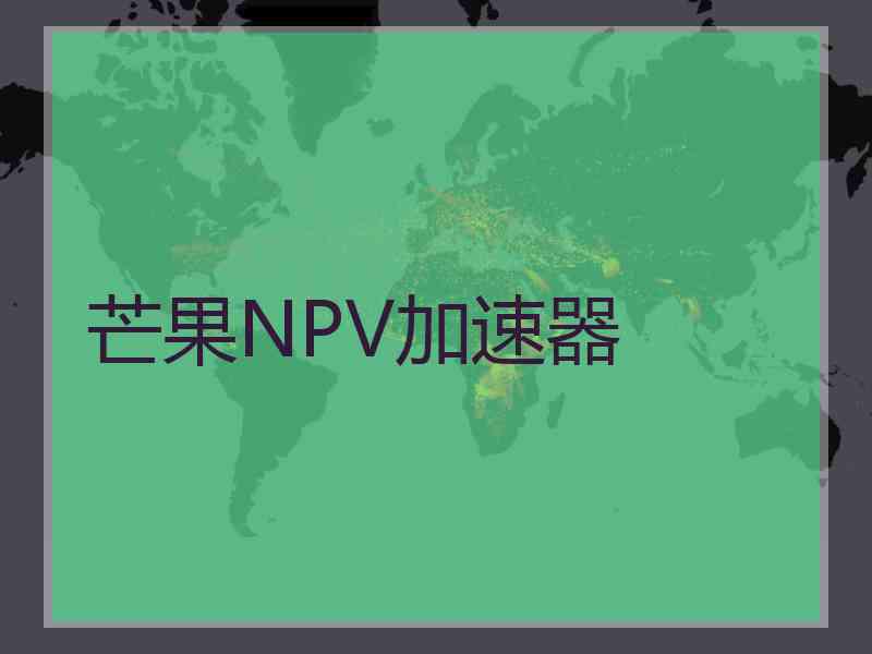 芒果NPV加速器