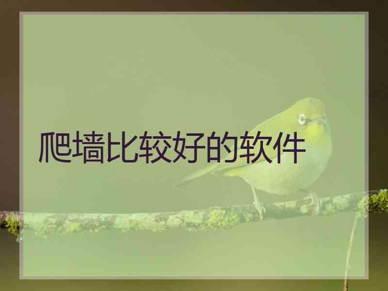 爬墙比较好的软件