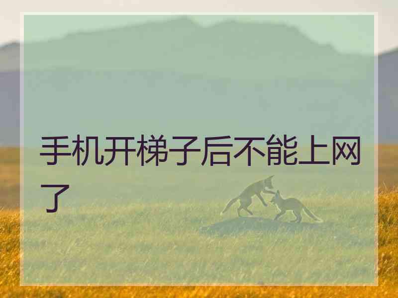 手机开梯子后不能上网了
