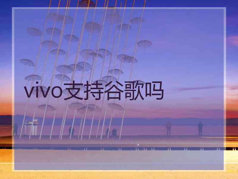 vivo支持谷歌吗